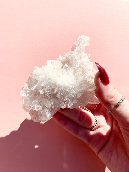 ✧ Chrysanthemum Clear Quartz Specimens from Colombia 🇨🇴 ✧