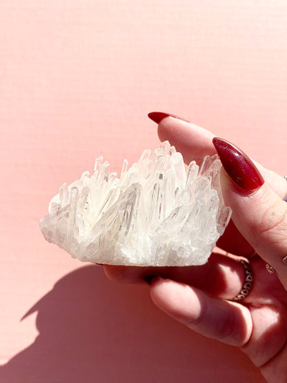 ✧ Chrysanthemum Clear Quartz Specimens from Colombia 🇨🇴 ✧