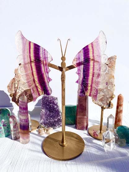 ✧ Fluorite Butterfly Wings ✧