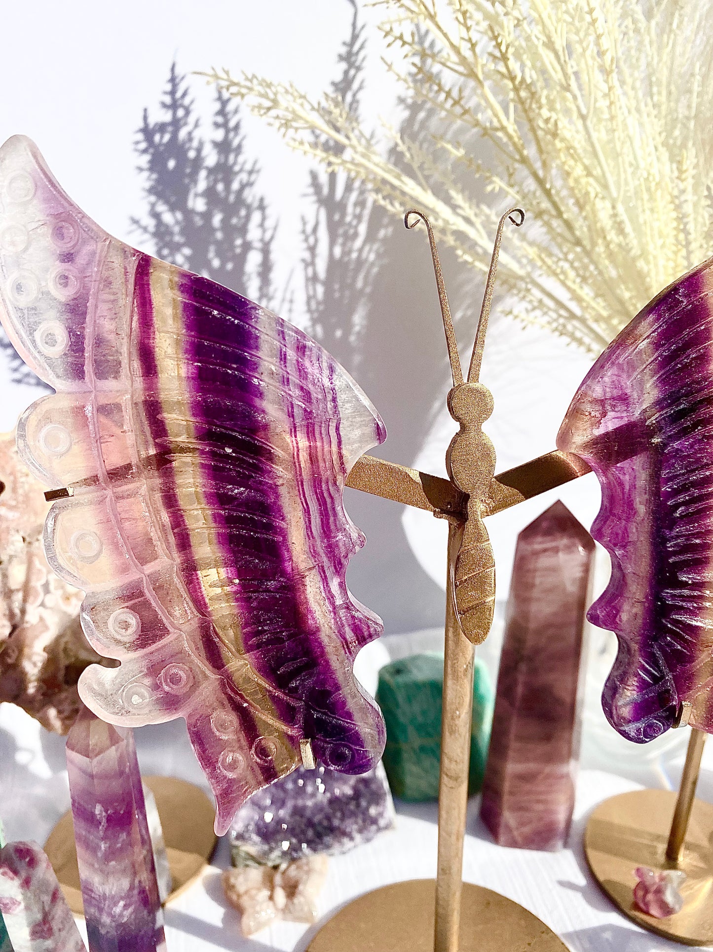 ✧ Fluorite Butterfly Wings ✧